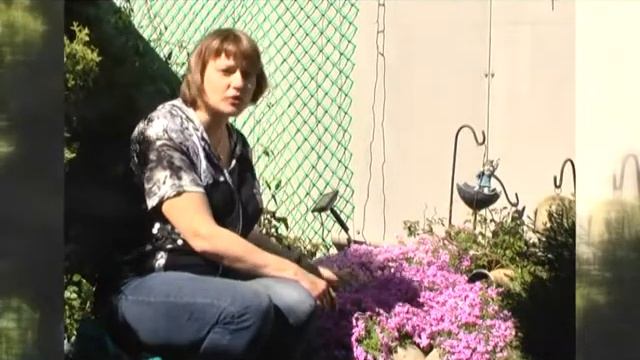 КАЛЕНДАРЬ ПРИРОДЫ о цветах смотреть онлайн