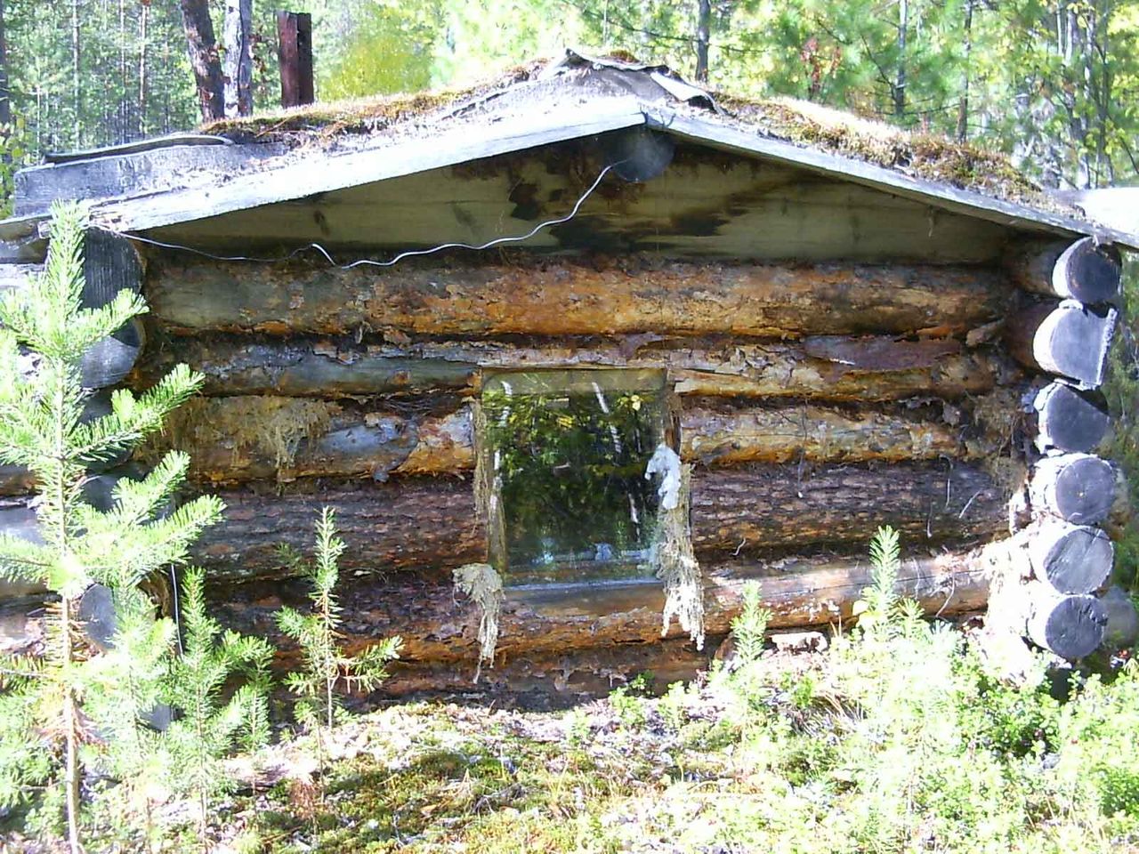 Отшельники. Поиск лодки отшельника. Стоянка бомжей..mp4 смотреть онлайн