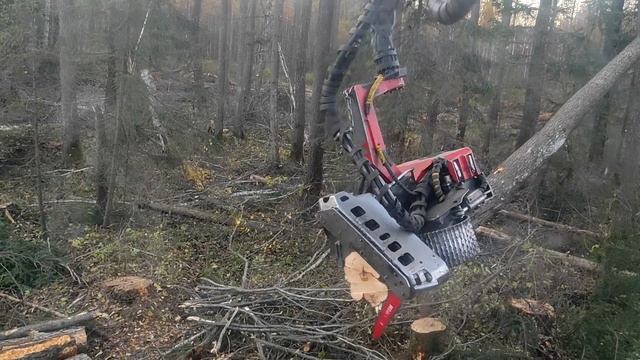 Подсказки и Советы