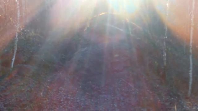 Пригорское. Шлаковые "скалы". смотреть онлайн