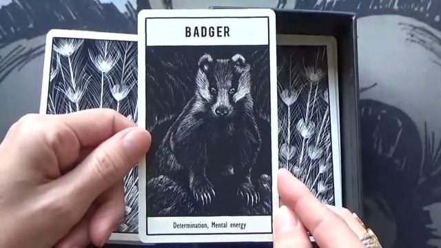 UNTAMED SPIRIT ANIMAL ORACLE ????- DECK REVIEW. смотреть онлайн