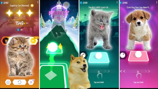 CUTE CAT CUPID VS CUTE DOG LADY GAGA VS CUTE CAT JUSTIN BIEBER VS CUTE DOG DUA LIPA NEW RULES смотреть онлайн