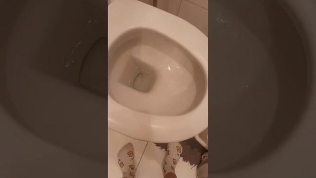 17 мая 2023 г. смотреть онлайн