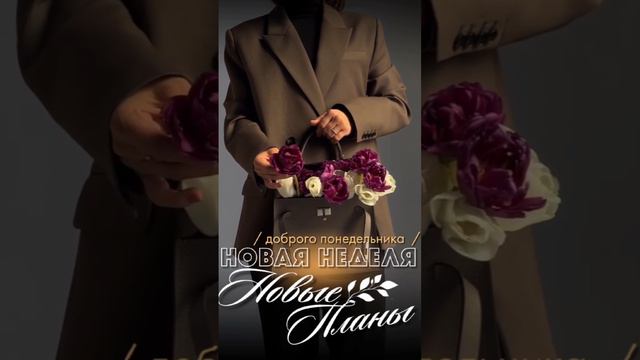 Понедельник смотреть онлайн