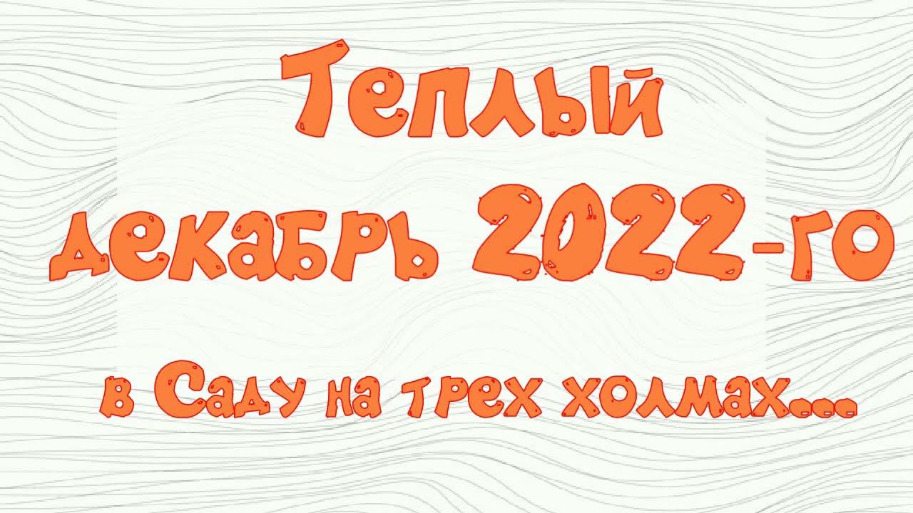 Заключительные работы в саду сезона 2022 года смотреть онлайн