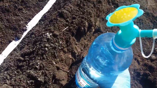 Посев моркови без прореживания. смотреть онлайн
