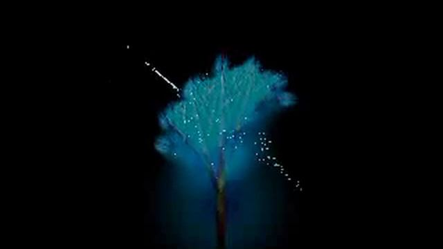 samuel rich -new song in natuashish смотреть онлайн