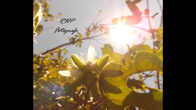 Fotos tomadas desde Nikon Coolpix l810 смотреть онлайн