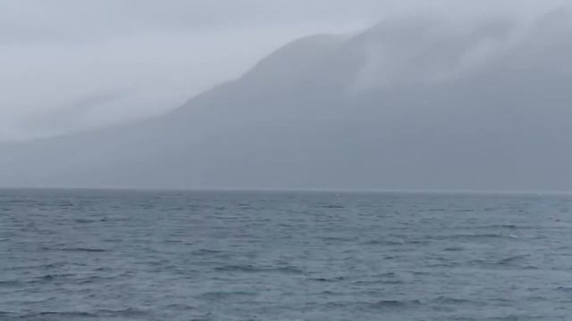 Мгновенный и успокаивающий сон слушая шум моря для сна. Скорее расслабляйтесь под звуки моря смотреть онлайн