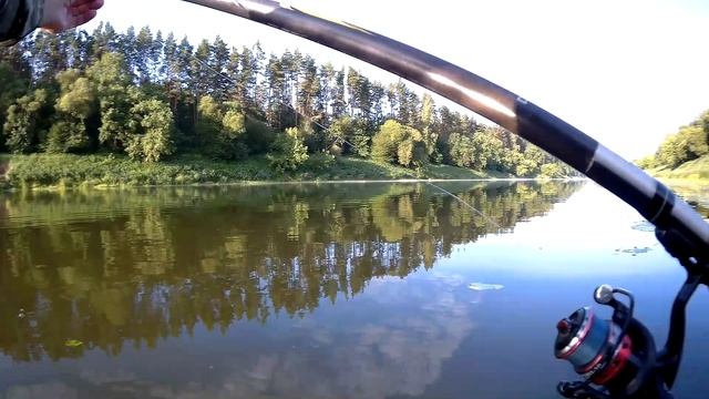 Ловля в проводку на пшеницу плотва голавль смотреть онлайн