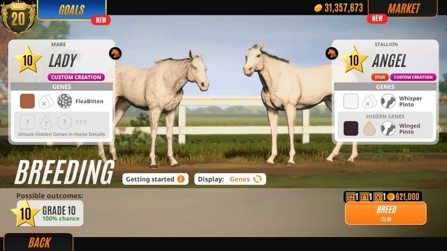 LIGHT + DARK = THE MOST UNEXPECTED FOALS!! RIVAL STARS HORSE RACING BREEDING смотреть онлайн