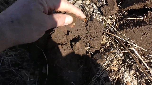 Ищем монеты возле речки#93 смотреть онлайн