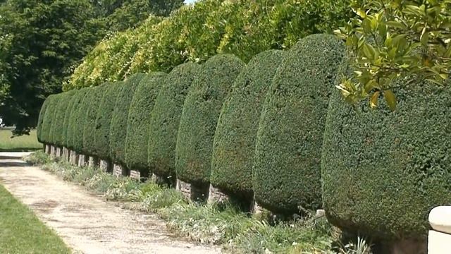 Villa Pisani (Il parco) - Stra (Venezia) смотреть онлайн