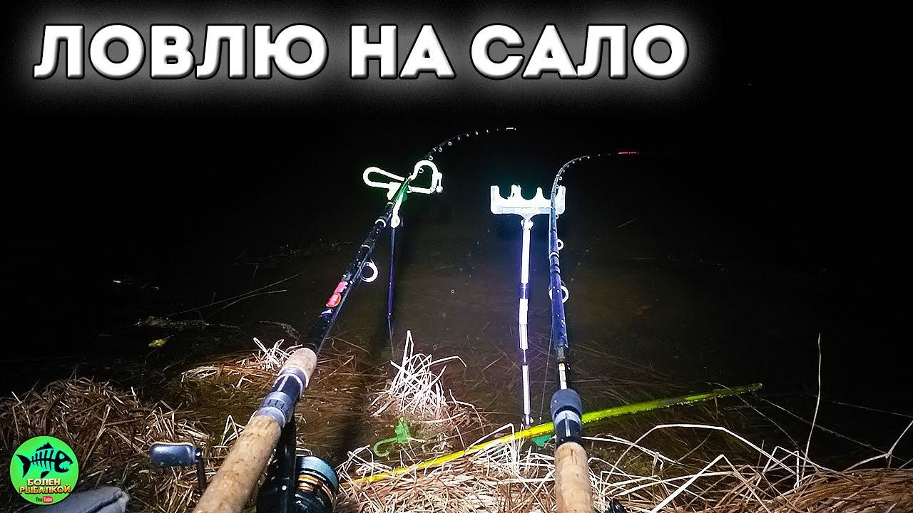 ОБАЛДЕЛ от результата. На САЛО реально клюет. РЫБАЛКА С НОЧЕВКОЙ. Рыбалка на фидер смотреть онлайн
