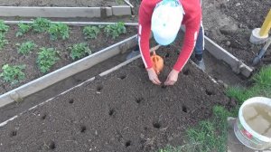 6 соток 3 мая 2023 года. Хроника.