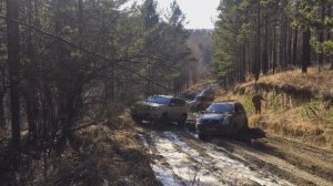 Открыли внедорожный сезон. Прадо 150 в лесу.