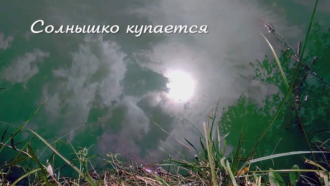 Солнышко купается. Дачные картинки 2023 смотреть онлайн