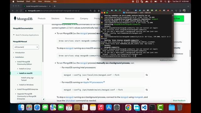 How to Set Up MongoDB: A Step by Step Guide смотреть онлайн
