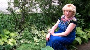 ОЧИТОК В САДУ - ВЫРАЩИВАНИЕ, ПОСАДКА, РАЗМНОЖЕНИЕ! Stonecrop in the garden