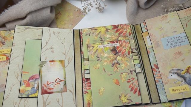 Обзор осеннего альбома из коллекции бумаги Color's of Autumn. смотреть онлайн