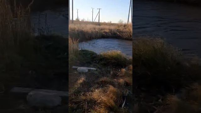 Река 1я Понура, что делается с рекой... смотреть онлайн