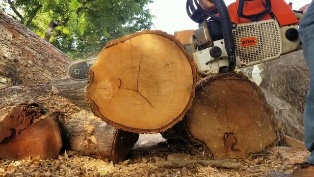 STIHL 084 AV 21" BAR 3/8 OREGON CL sq смотреть онлайн