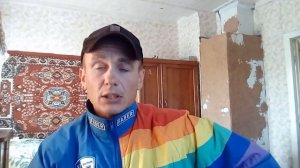 У куриных яиц тонкая скорлупа что делать, чем кормить кур