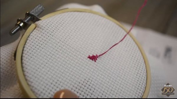 Learn Cross Stitch with Bucilla Learn to Stitch Kit!