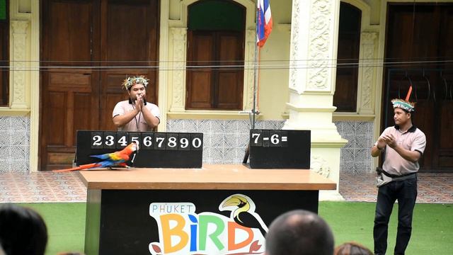 Парк птицу на Пхукете смотреть онлайн