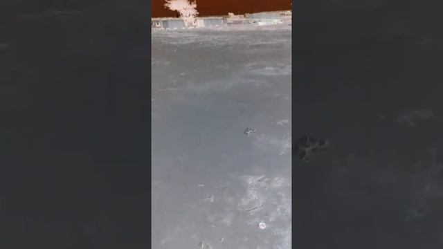 Alien adventures pt 1 the arrival смотреть онлайн