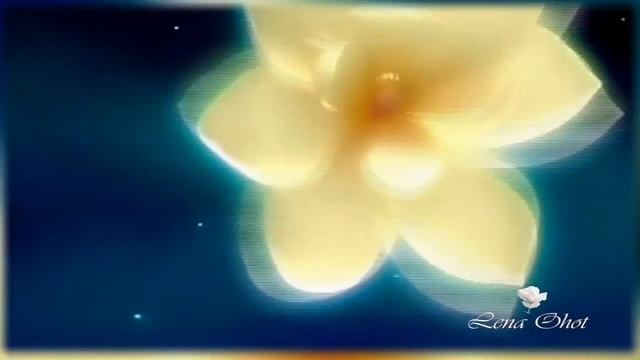 ღ Солнечный зайчик ღ смотреть онлайн