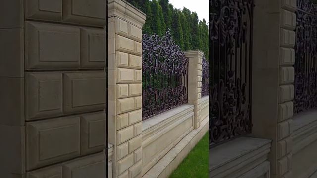 Живая изгородь из туи #туя #дачаисад #дача #сад #забор #изгородь #flower #garden смотреть онлайн