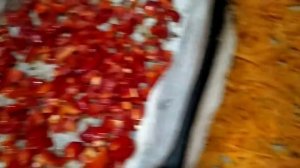 ВЕГЕТА- натуральная домашняя приправа