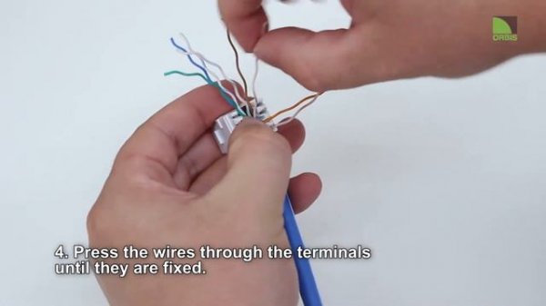 CAT6 UTP connector installation instructions