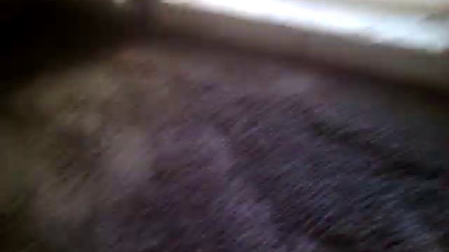 Керамзито-бетон НеНецкие Технологии.