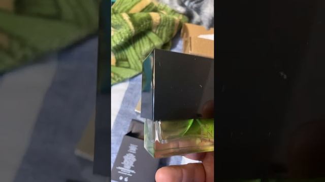 Fake Gucci Envy смотреть онлайн