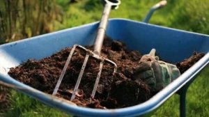 Кроличий навоз как удобрение