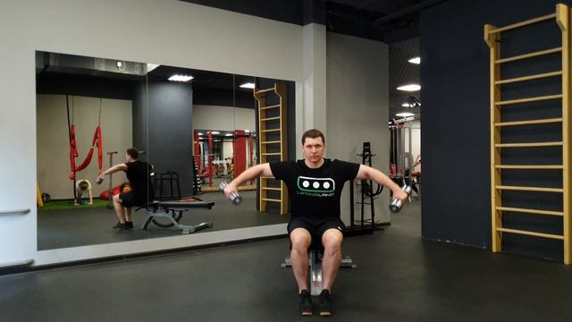 Отведения рук с гантелями сидя / Seated Dumbbell Lateral Raise смотреть онлайн