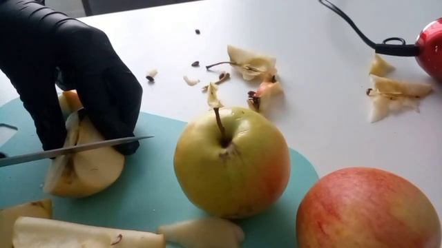 Кулинарное творчество без границ 