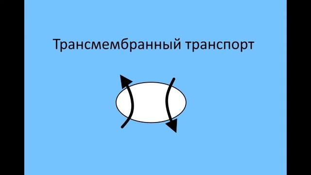 #4_Биологические мембраны смотреть онлайн
