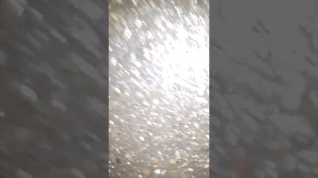 Как поменять предохранитель прикуриватель на Тойота камри v70 2018 смотреть онлайн