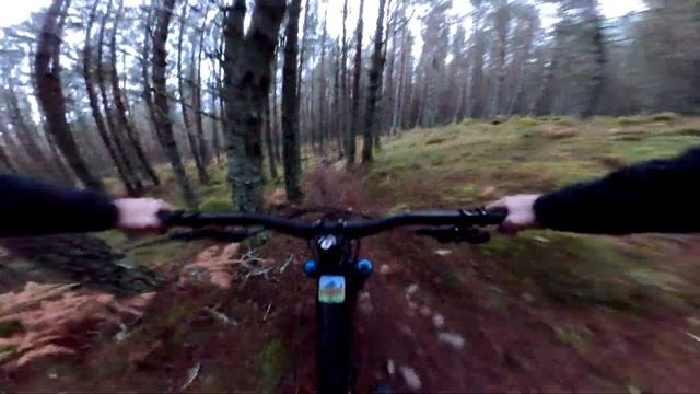 Resurrected - High Burnside 2023 смотреть онлайн