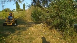 go kart Мини багги покатушки