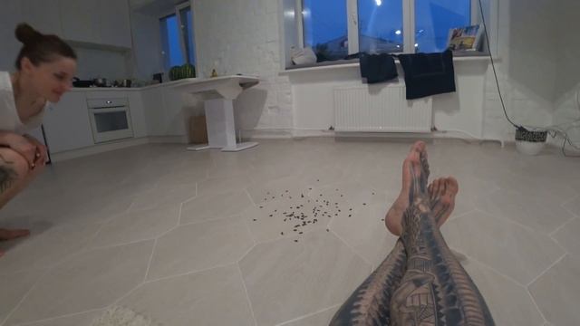 Почему воробушек ?