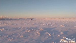 двигатель лифан 37 л/с