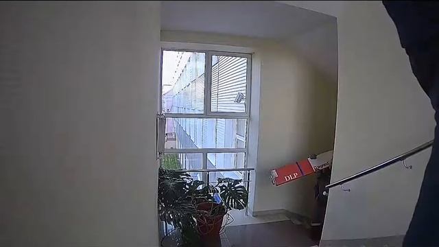 WDR ON 2017 профессиональная линейка видеокамер Polyvision смотреть онлайн