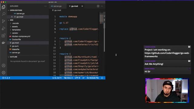 Coding Session · Go Web Frameworks · AMA #devlog смотреть онлайн