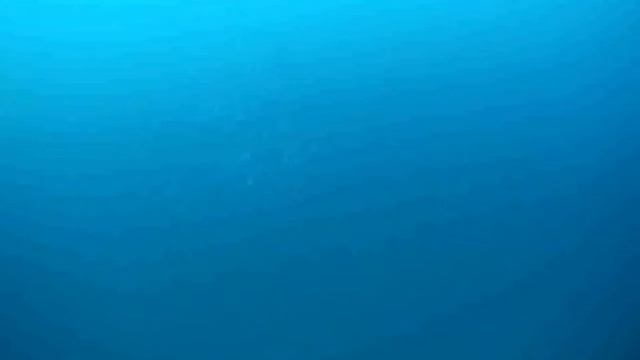 Digitech XP 300 Spacestation (demo song) смотреть онлайн