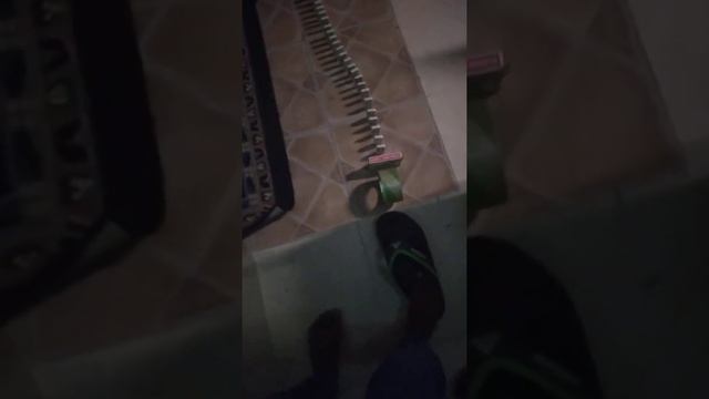 The Domino Drop смотреть онлайн