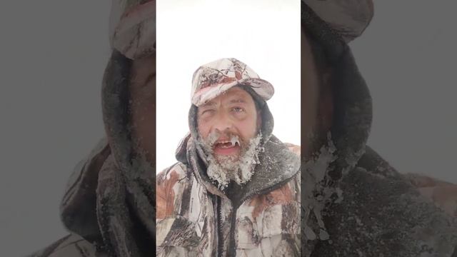 рыбалка по-питерски! смотреть онлайн